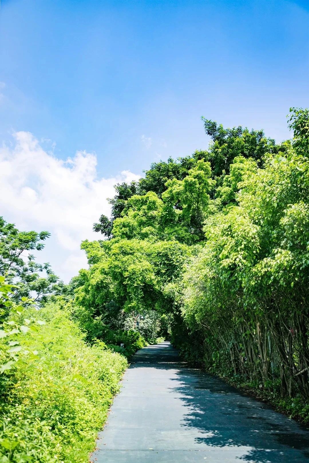 深圳周末浪漫好去处,深圳浪漫约会地点十个景点