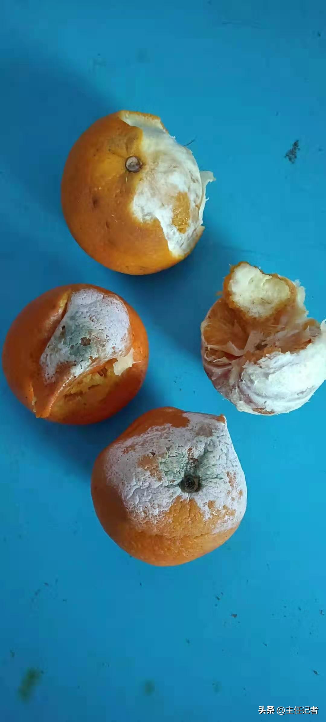 拼多多发错了顾客投诉,拼多多遇到质量问题怎么叫顾客改