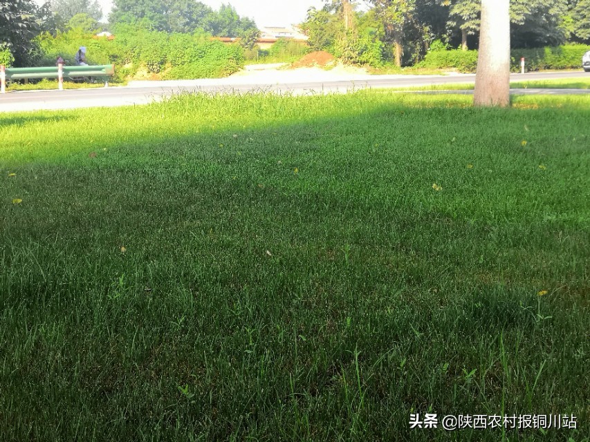 朱百强是谁,朱百强散文