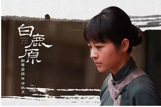 白鹿原中最悲惨的一幕,白鹿原中的败笔有哪些