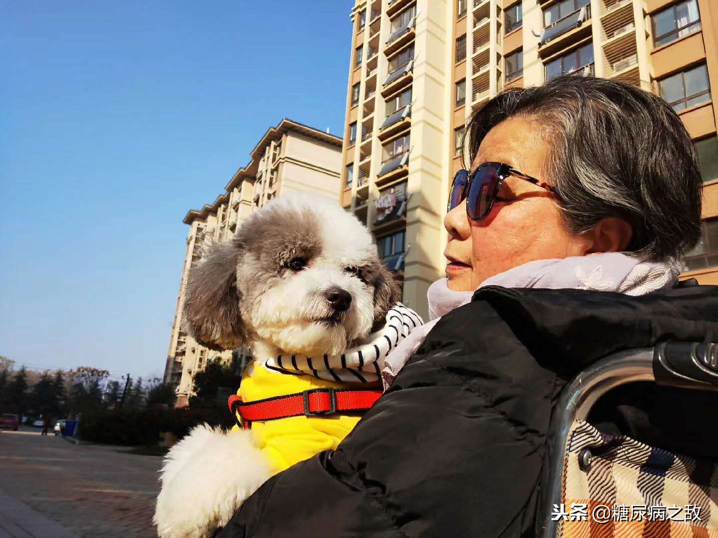 适合糖尿病人旅行的食物,适合糖尿病患者的旅行