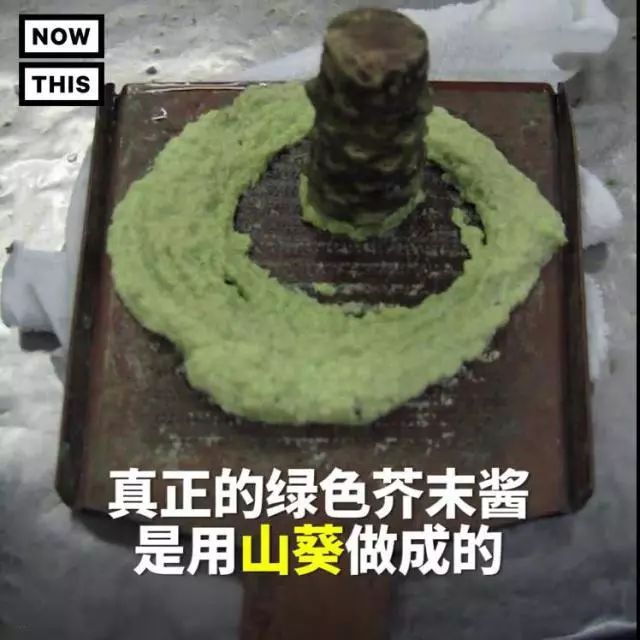 菜吧：800元一斤！据说这种菜是全世界最难种的