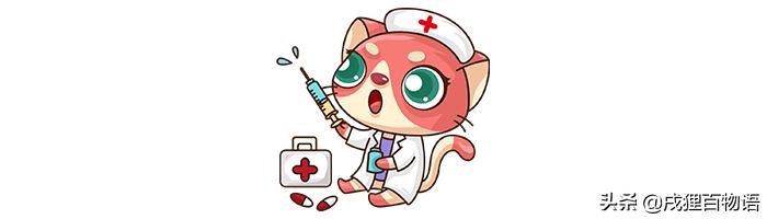 猫咪屁屁老是有稀便便是怎么回事,如何从猫咪便便判断是否生病