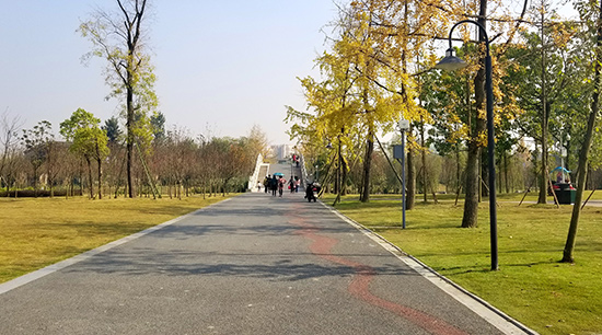 空港中央公园成都,空港绿道