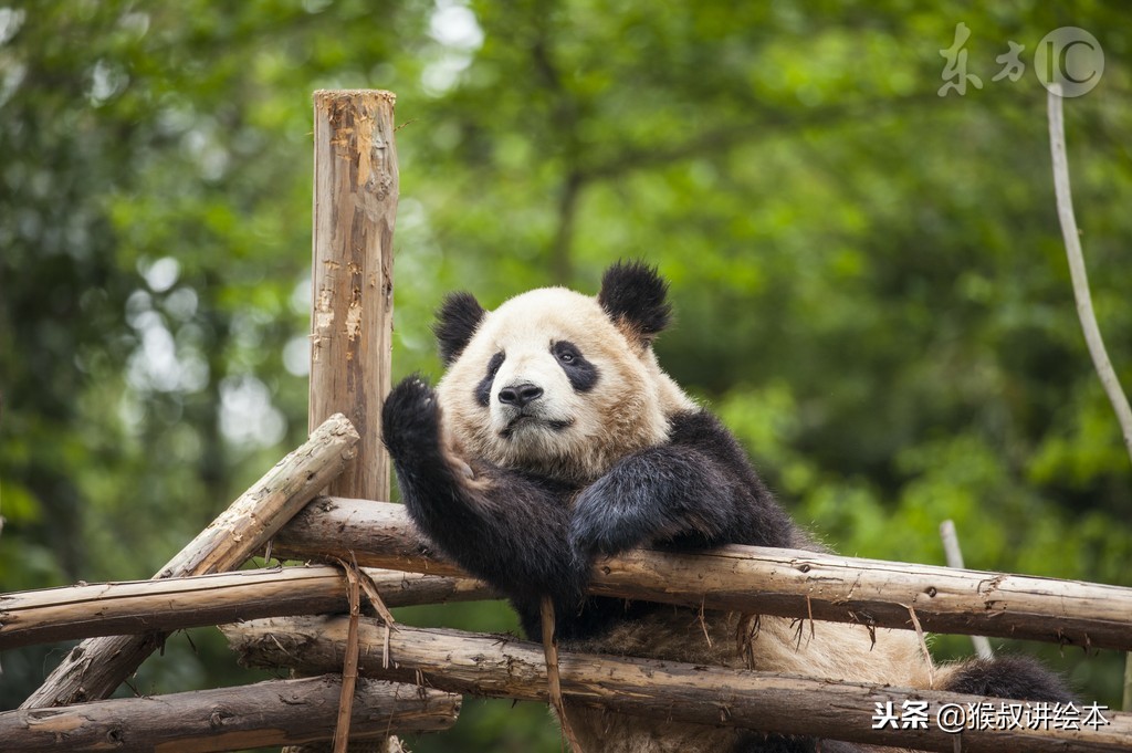 时隔多年再读一本书,时隔三十年的书籍