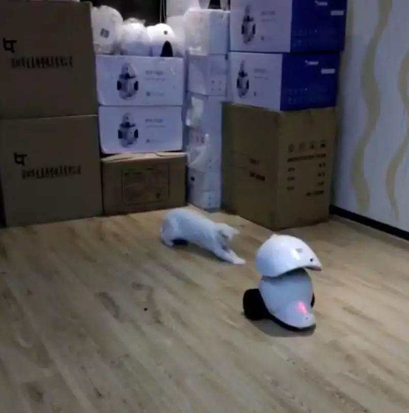 人工智能中的商机,人工智能普通人有什么商机