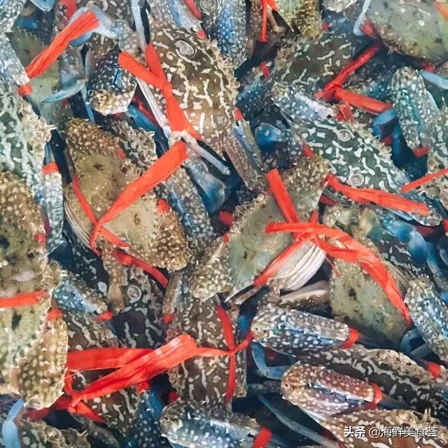 常见的鱼虾蟹等海鲜的认识,虾蟹类海鲜大全