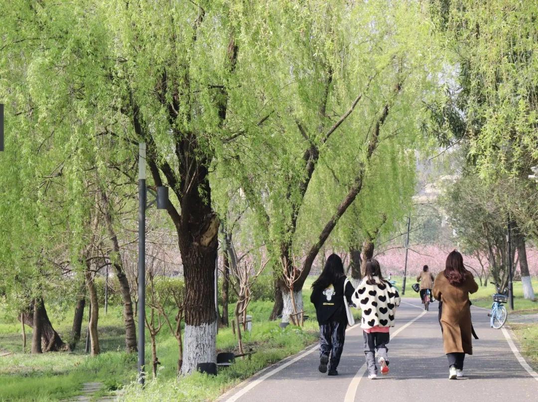 江大学子的“微信状态”大赏！这，不就是我吗？