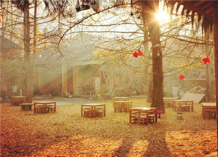 初中语文必背十大成语,初中语文常见成语