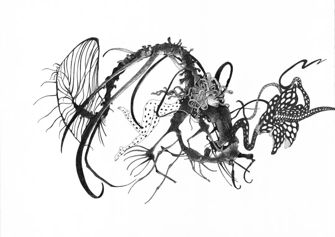 线上观展|奇美拉CHIMEREMostrapersonaleonline