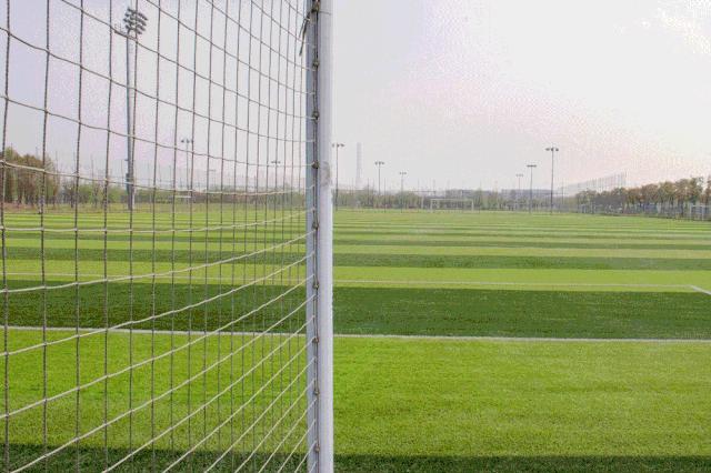 浦东24小时不打烊图书馆,浦东滨江世博文化公园