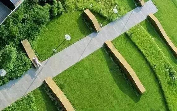 农村草坪花园设计实景图,花园草坪布局