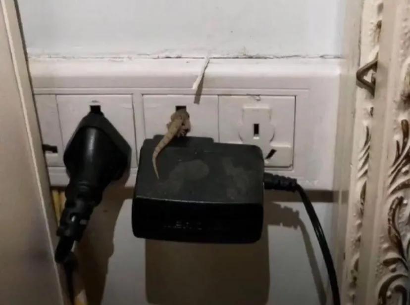 每日一笑挑战规则,每日一笑尴尬局面