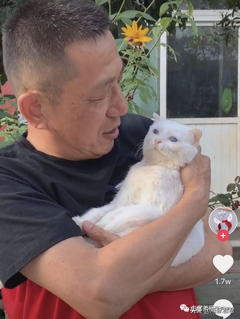 北京小公主靠吸猫血成百万大V,直播整容、大照骗、2年养死3只猫