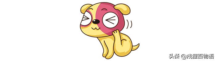 狗狗驱虫也驱了但就是不长肉,铲屎官养了宠物怎么办