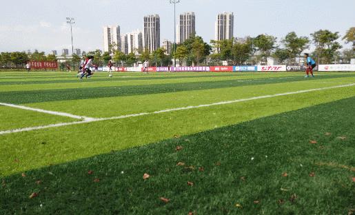 厦甲足球比赛,厦甲足球联赛