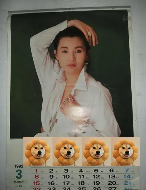 八九十年代的女明星挂历，复古又雷人，都是青春的记忆，好怀念啊