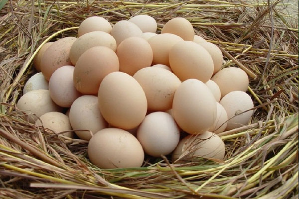 无敌下酒菜怎么制作,下酒菜熟食变蛋