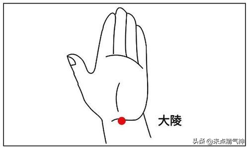 天热胃口差，腹胀，中医认为是湿浊困中焦导致，应燥湿健脾