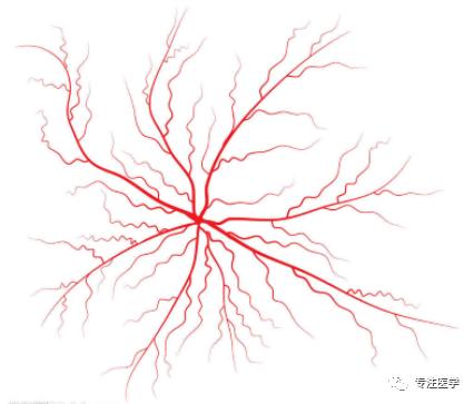 心衰常用药物,心衰常用药物有什么