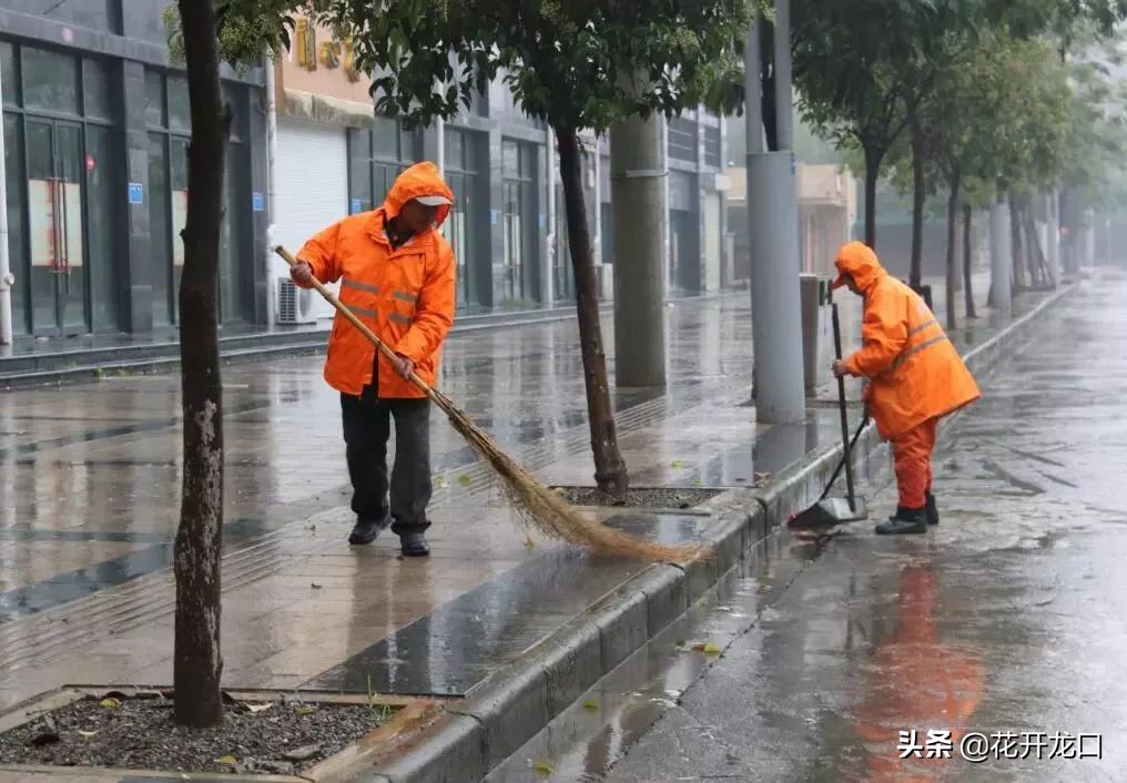龙口就业困难,山东龙口有什么推荐的职业