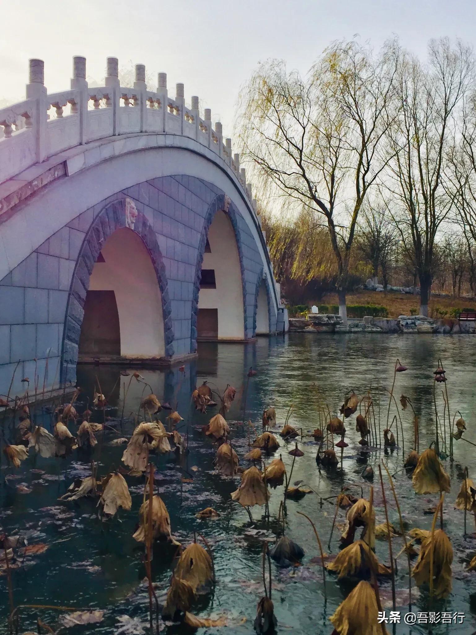 武清津北森林公园有哪些景色,天津武清森林公园开放时间表