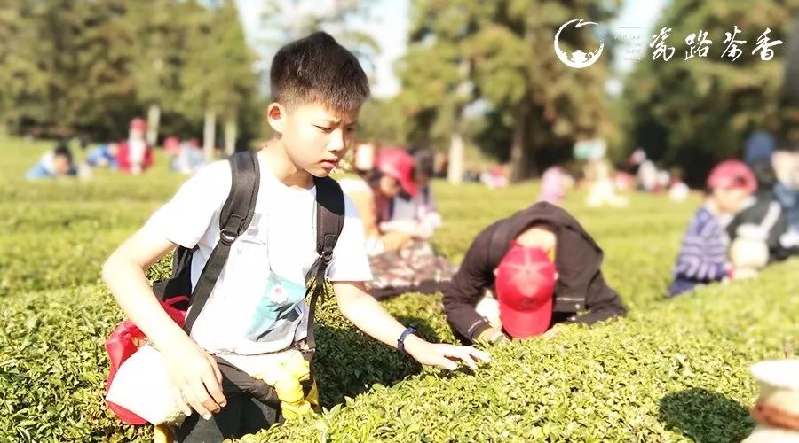 景德镇市二少年研学之旅,景德镇研学主题