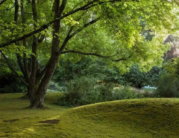 花园设计前沿趋势|14种澳洲庭院花园类型（上篇），全面细致