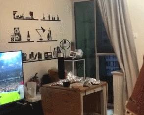 苏醒砸电视是负能量吗,苏醒砸电视是什么梗