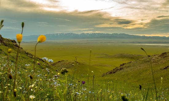 塔城市凉快的公园,塔城地区避暑的地方