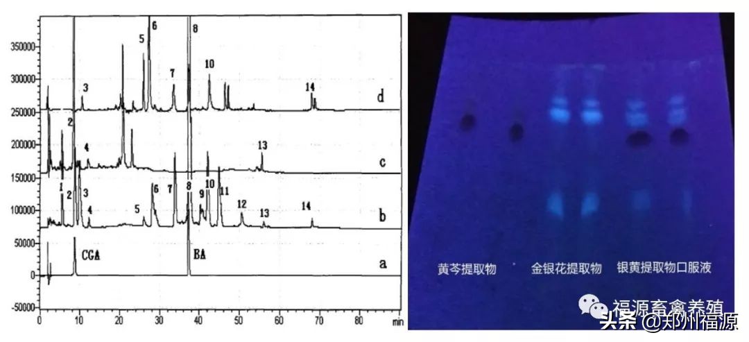 福源补气血口服液,福源保健品