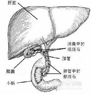 胆红素高，是什么原因，有危害吗？吃什么药能降？听听医生怎么说