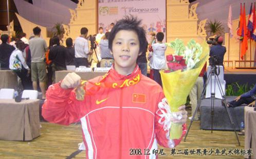 国之骄傲游泳世锦赛,国之骄傲1-100集文字