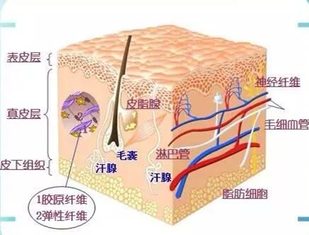 祛斑骗局揭秘,女子祛斑15分钟花了3万