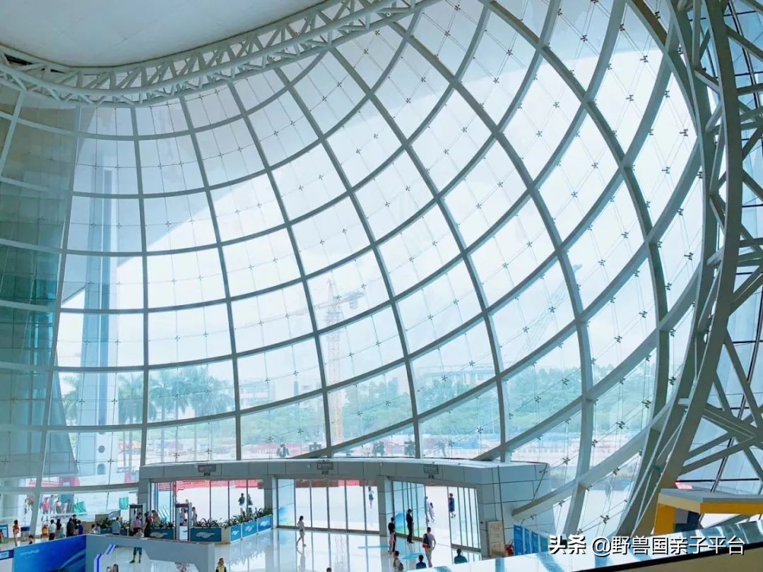 广州遛娃出游,广州遛娃3-4天攻略