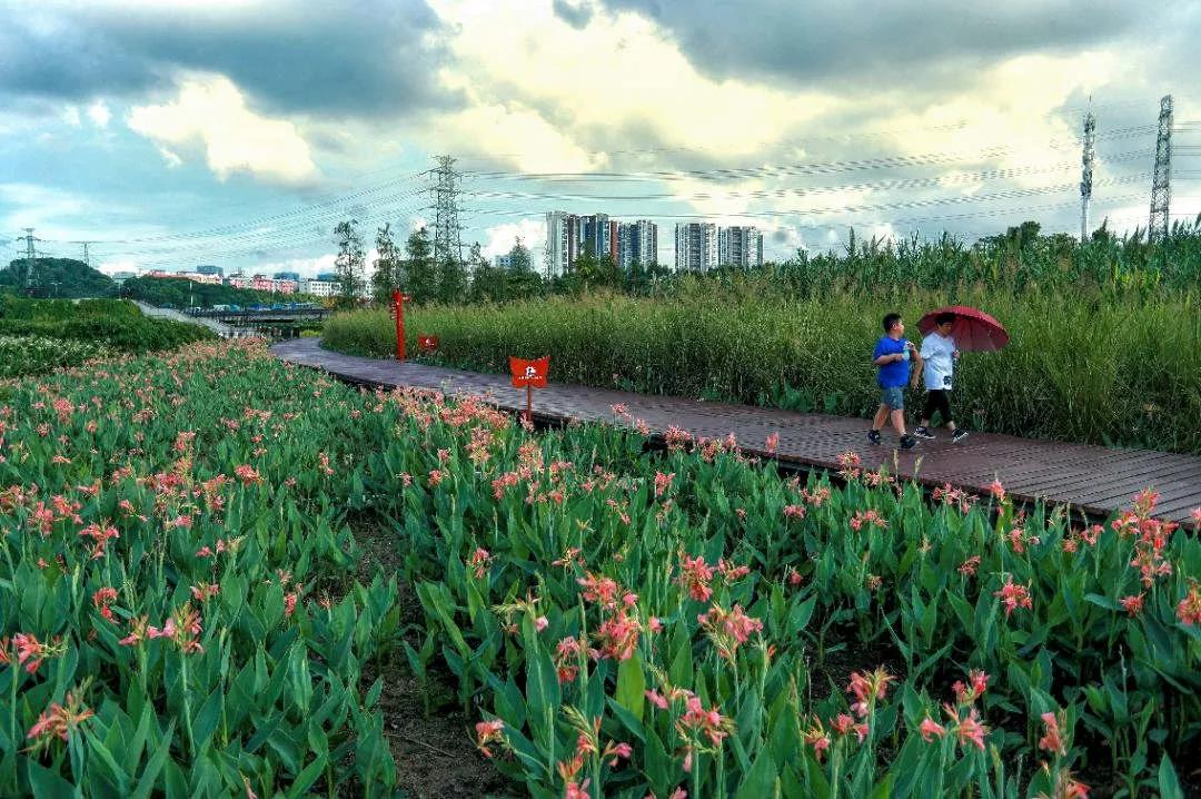 深圳遛娃必去的50个主题公园,深圳亲子游十佳去处免费