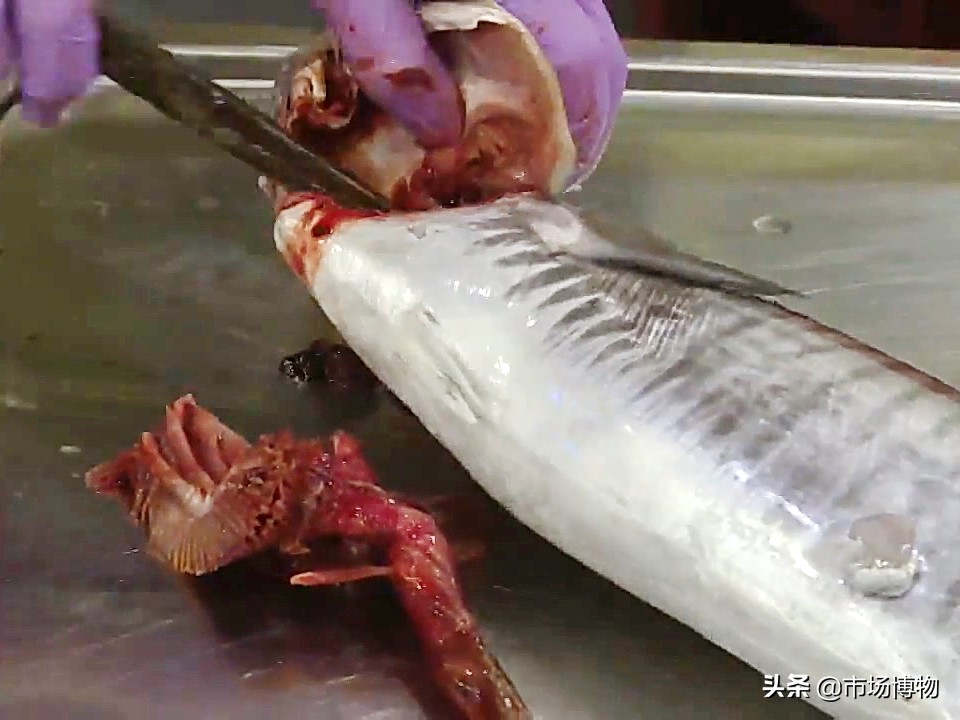 香港咸鱼品种,香港咸鱼