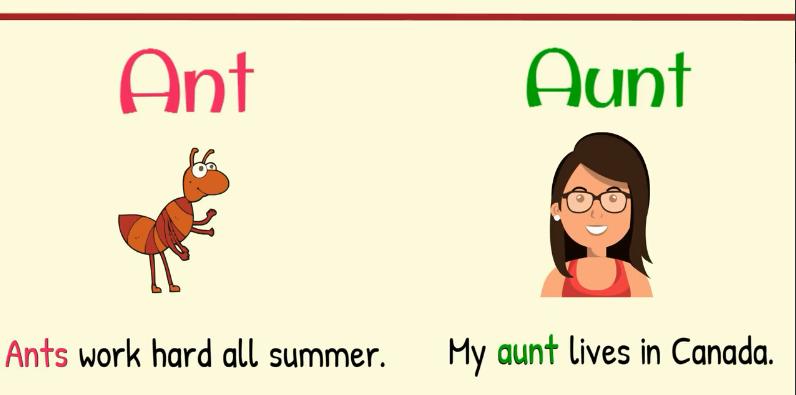 英语词汇高频近义词辨析,英语同音同形异义词概念