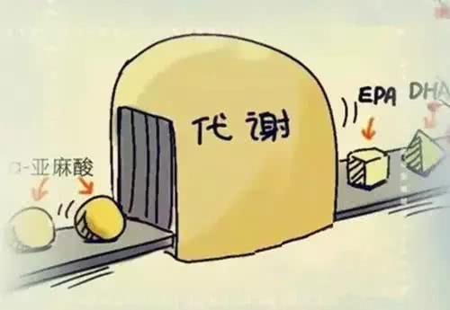 17岁高中生老想吐怎么了,17岁中学生呕吐去世