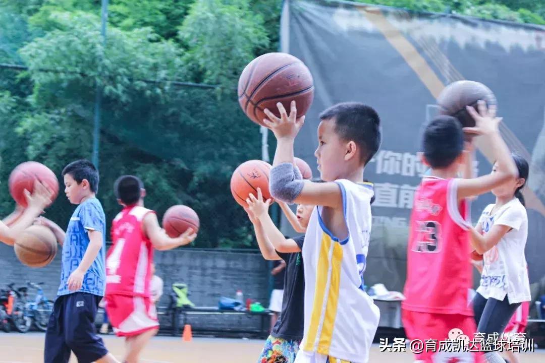 打篮球前准备事项,育成鸡关注事项