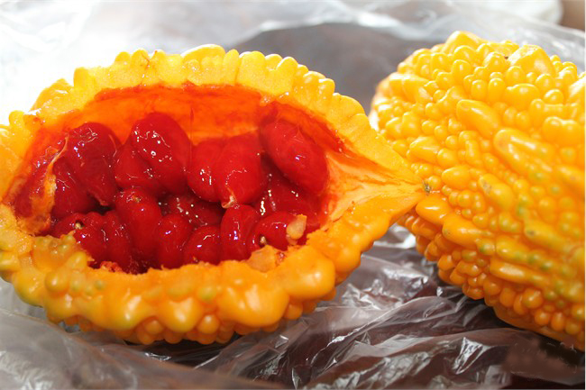 冬季室内盆栽葡萄的种植方法,什么葡萄品种最甜最好吃适合盆栽