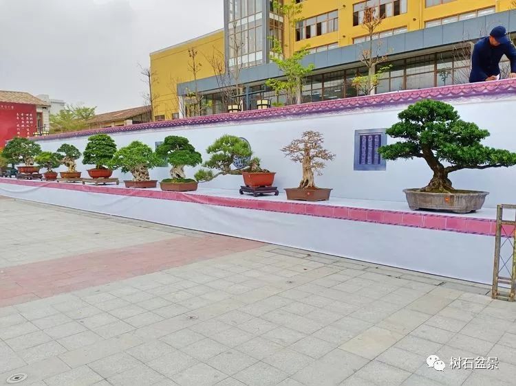 伟大使命复兴中国盆景艺术事业——2019中盆会大事回顾（下篇）