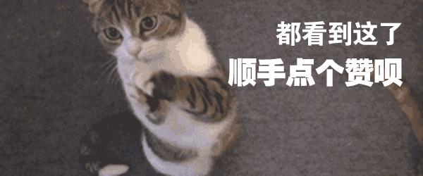 铲屎官每个月花多少钱,铲屎官日常挣奶粉钱