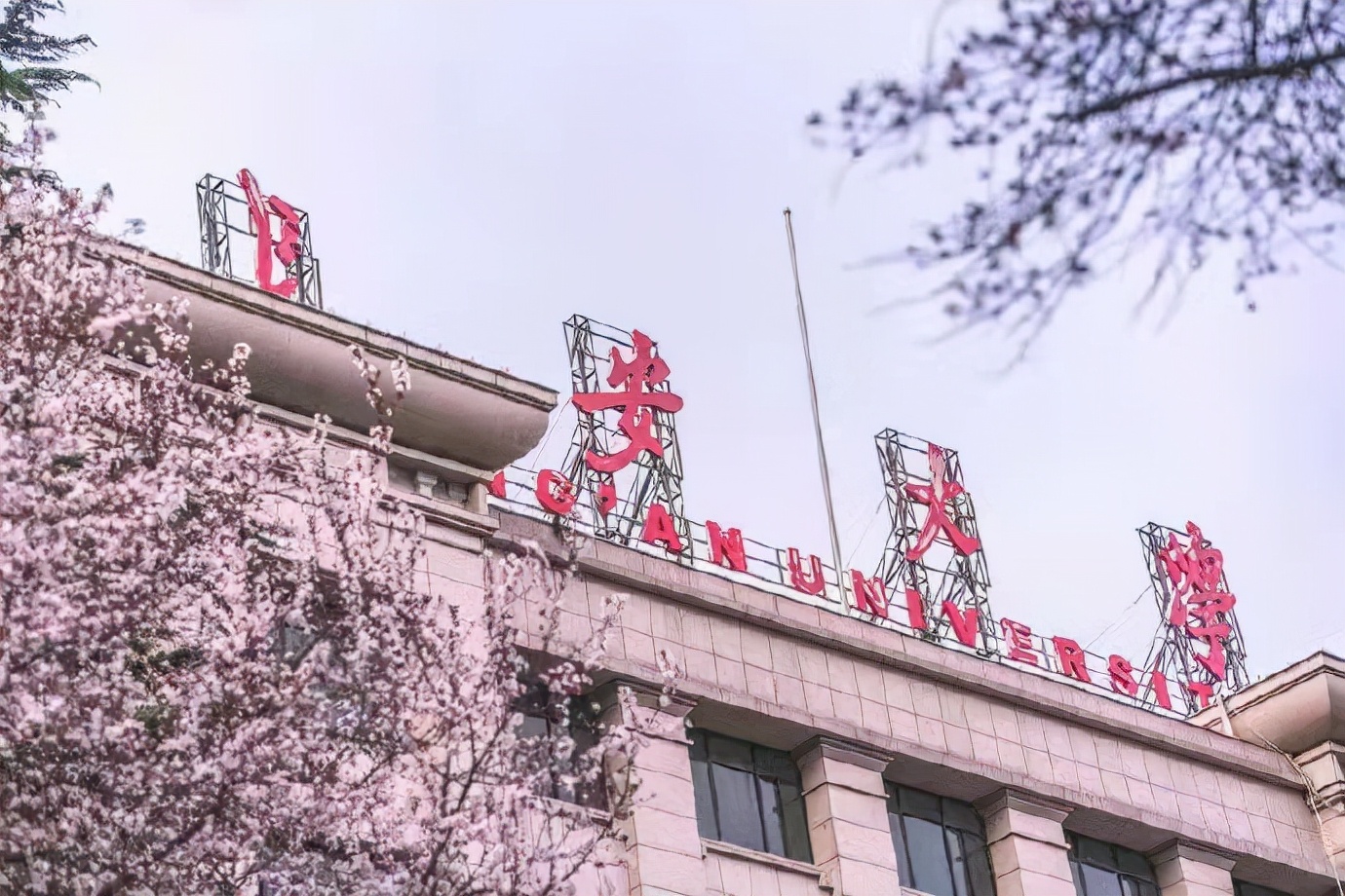 现在有多少位国家级裁判,国家级裁判执裁集锦
