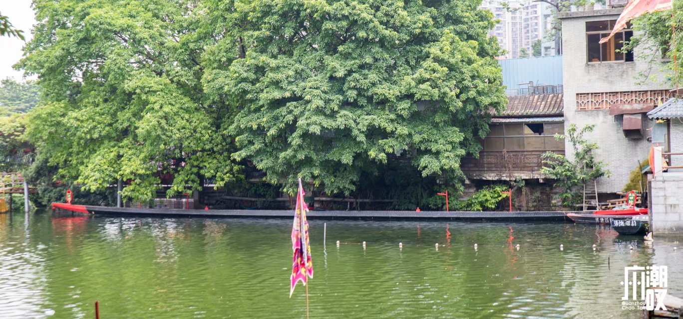 荔枝湾涌这条不足200米的街，50元吃遍西关地道美食！