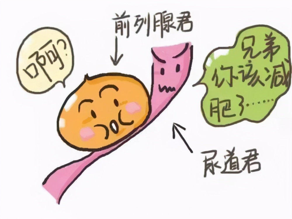 一个腹黑的心机boy,前列腺癌大盘点