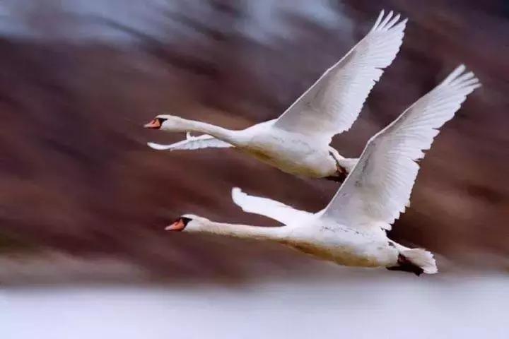 十大语文差错完整版,十大流行语和十大语文差错