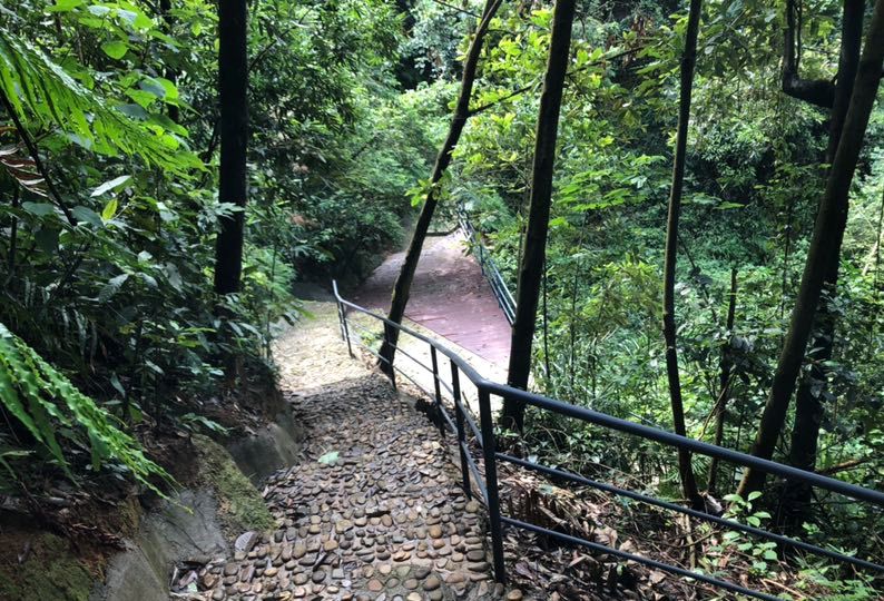 藏在山谷里温泉民宿,清远树屋温泉度假村攻略