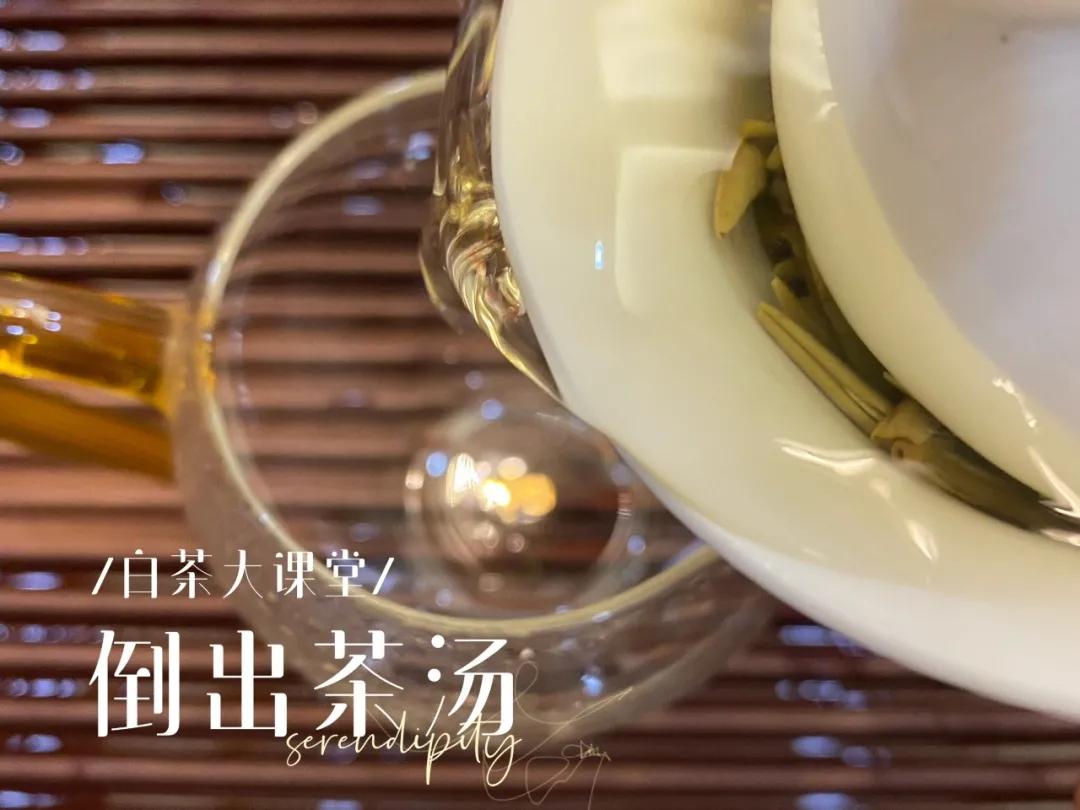 白茶白毫银针好还是纯芽头好,冷泡白茶选白毫银针还是白牡丹