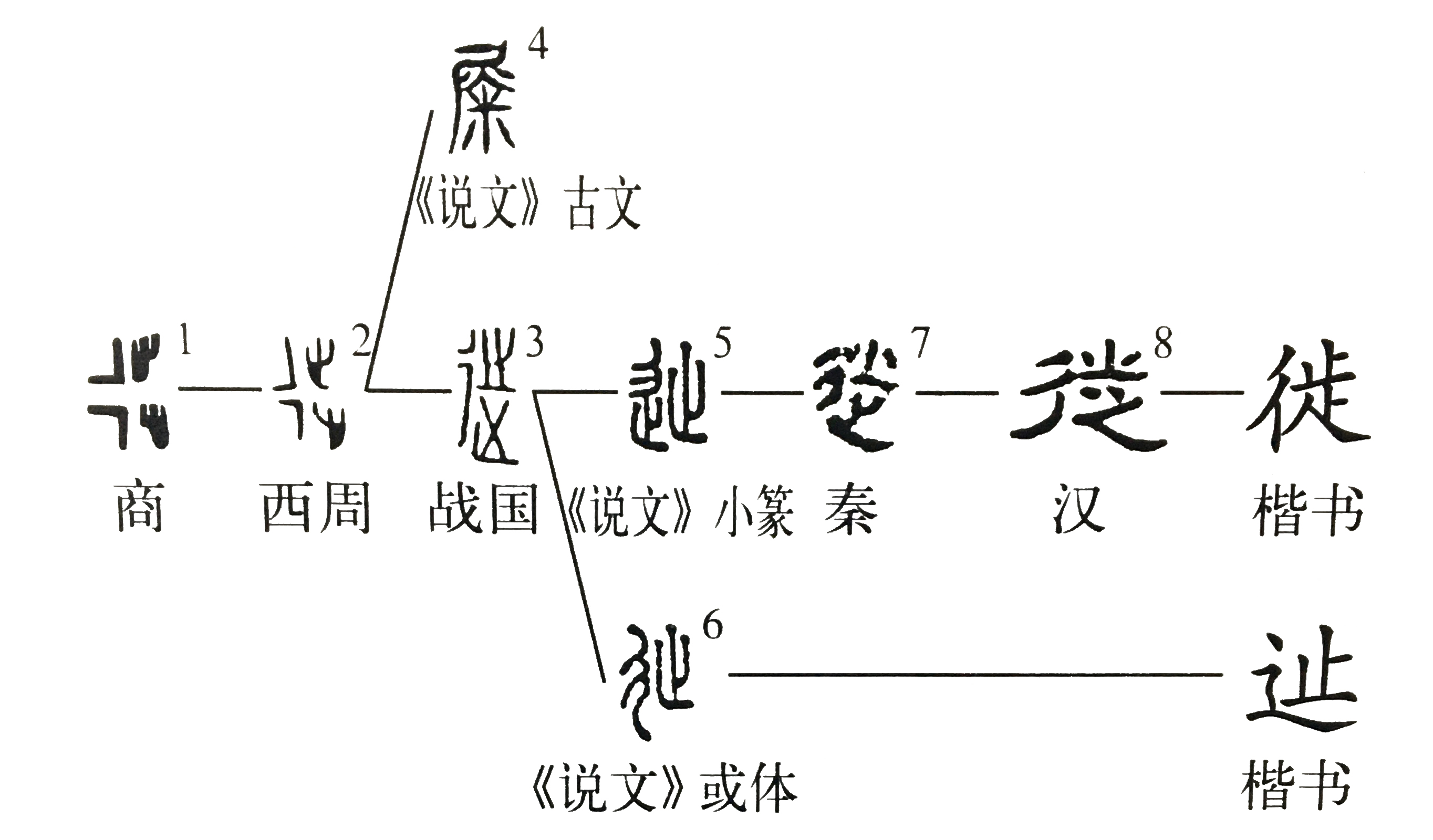 说文解字第249课,说文解字第262课视频